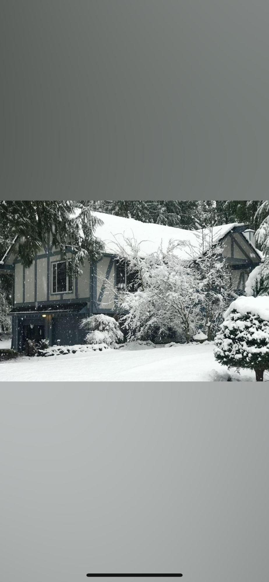 Cozy Bird House W Big Screen! Mount Hood Village Exterior photo