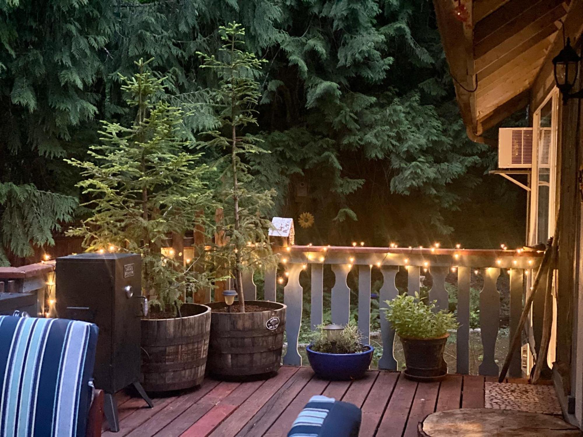 Cozy Bird House W Big Screen! Mount Hood Village Exterior photo